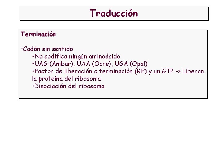 Traducción Terminación • Codón sin sentido • No codifica ningún aminoácido • UAG (Ambar),