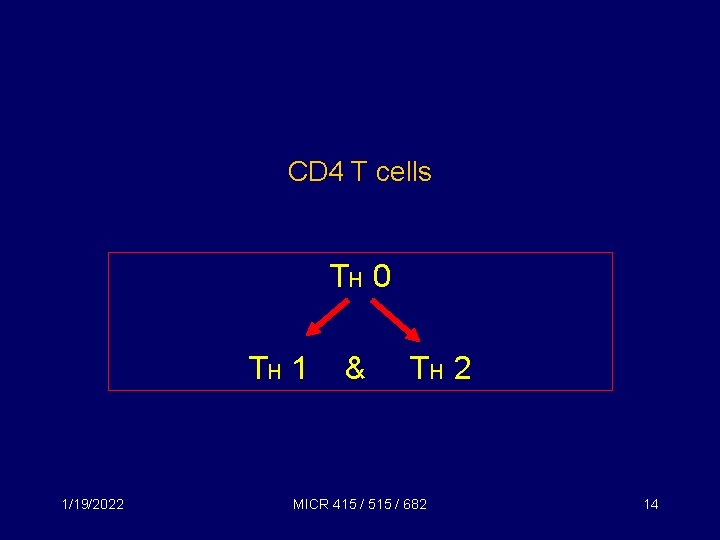 CD 4 T cells TH 0 TH 1 1/19/2022 & TH 2 MICR 415