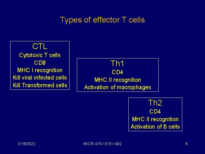 Types of effector T cells CTL Cytotoxic T cells CD 8 MHC I recognition