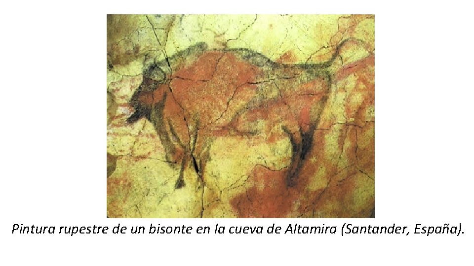 Pintura rupestre de un bisonte en la cueva de Altamira (Santander, España). 