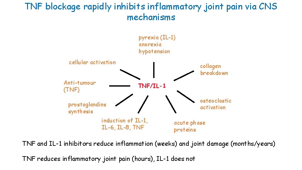 TNF blockage rapidly inhibits inflammatory joint pain via CNS mechanisms pyrexia (IL-1) anorexia hypotension