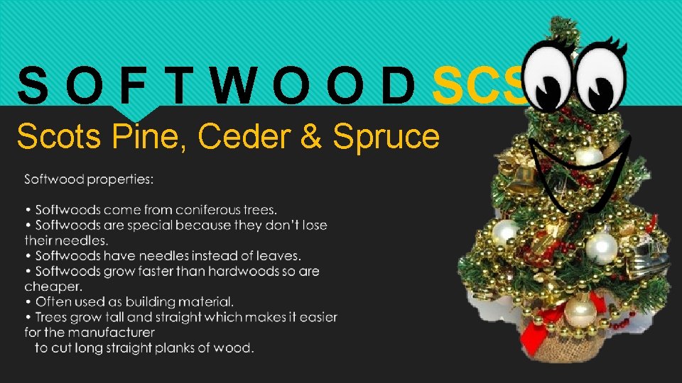 S O F T W O O D SCS Scots Pine, Ceder & Spruce