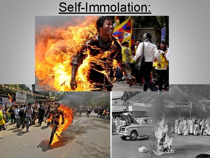 Self-Immolation: Self-Immolation: