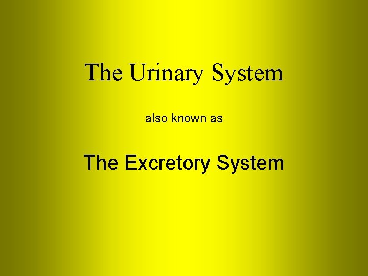 The Urinary System also known as The Excretory System 