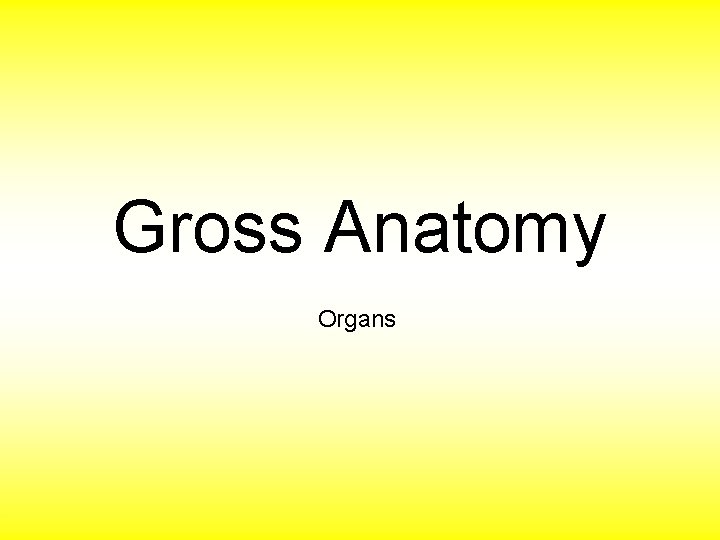 Gross Anatomy Organs 