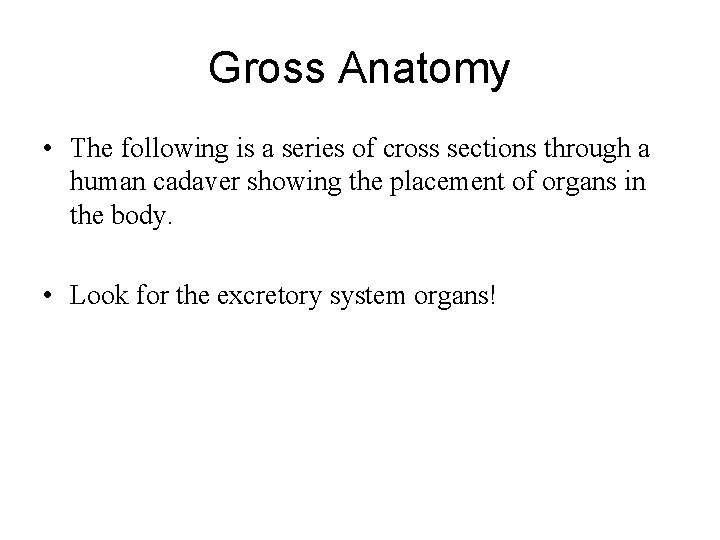 Gross Anatomy • The following is a series of cross sections through a human