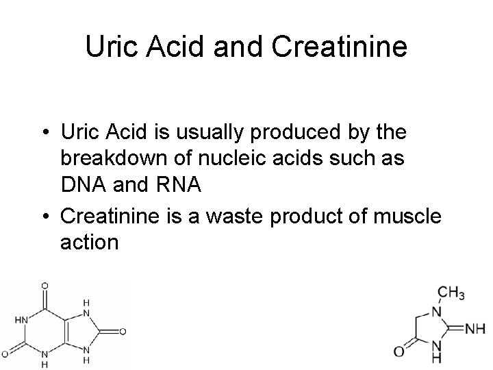 Uric Acid and Creatinine • Uric Acid is usually produced by the breakdown of