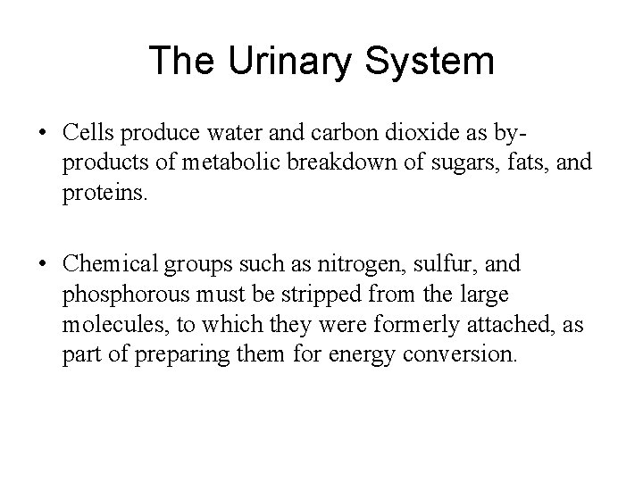 The Urinary System • Cells produce water and carbon dioxide as byproducts of metabolic