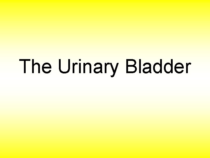 The Urinary Bladder 