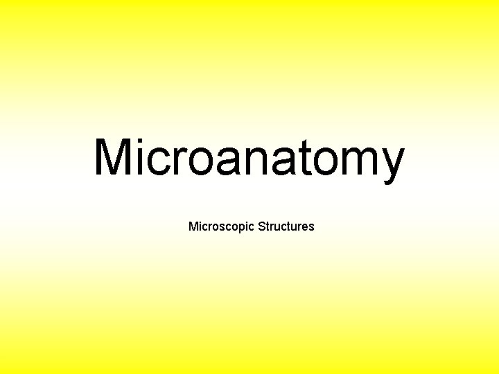 Microanatomy Microscopic Structures 