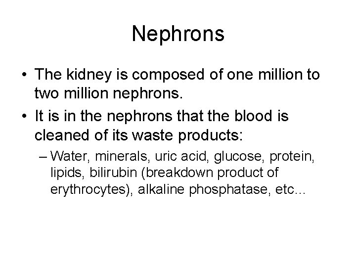 Nephrons • The kidney is composed of one million to two million nephrons. •