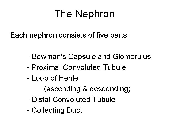 The Nephron Each nephron consists of five parts: - Bowman’s Capsule and Glomerulus -