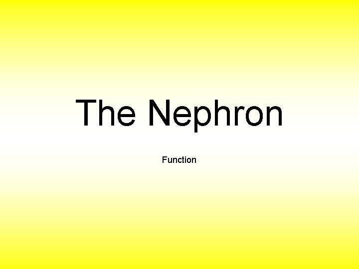 The Nephron Function 