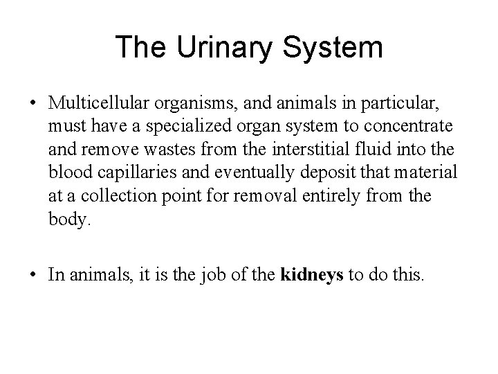 The Urinary System • Multicellular organisms, and animals in particular, must have a specialized