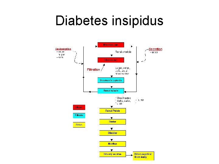 Diabetes insipidus 