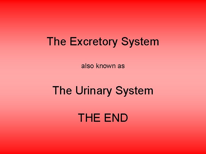 The Excretory System also known as The Urinary System THE END 