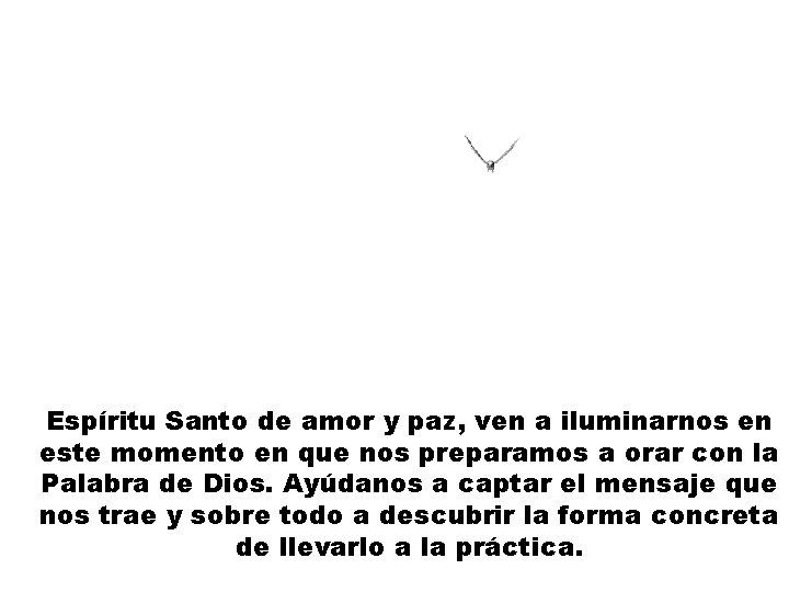 Espíritu Santo de amor y paz, ven a iluminarnos en este momento en que