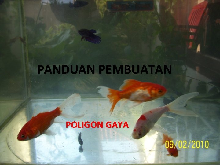 PANDUAN PEMBUATAN POLIGON GAYA 