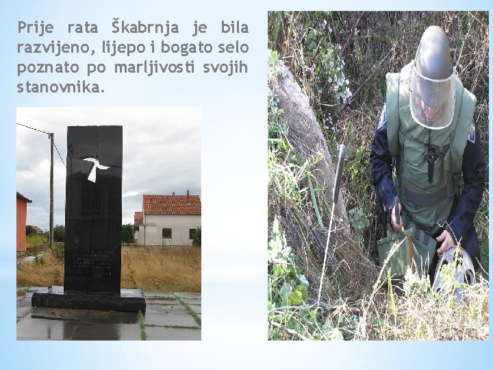 Prije rata Škabrnja je bila razvijeno, lijepo i bogato selo poznato po marljivosti svojih