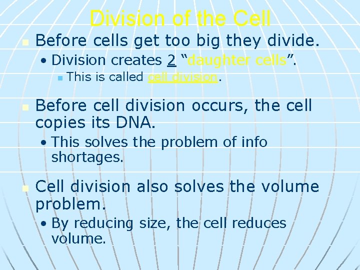Division of the Cell n Before cells get too big they divide. • Division