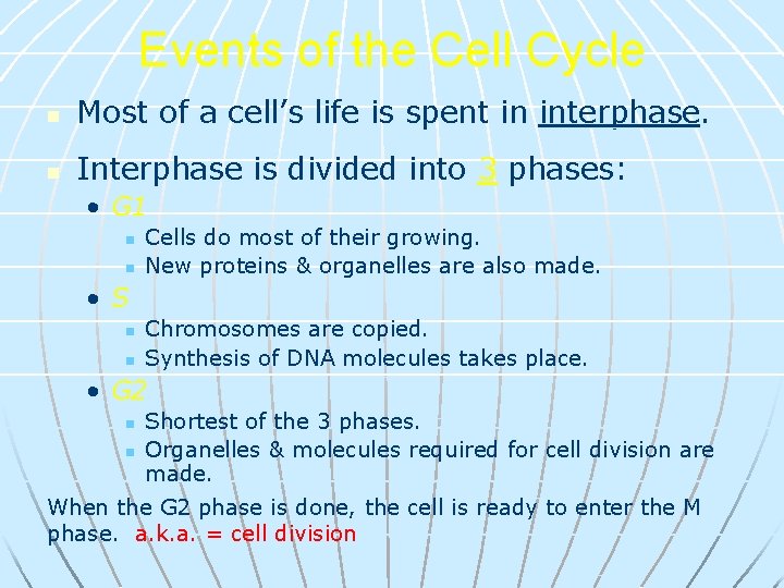 Events of the Cell Cycle n Most of a cell’s life is spent in