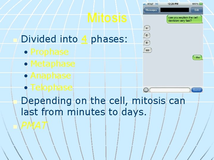 Mitosis n Divided into 4 phases: • Prophase • Metaphase • Anaphase • Telophase