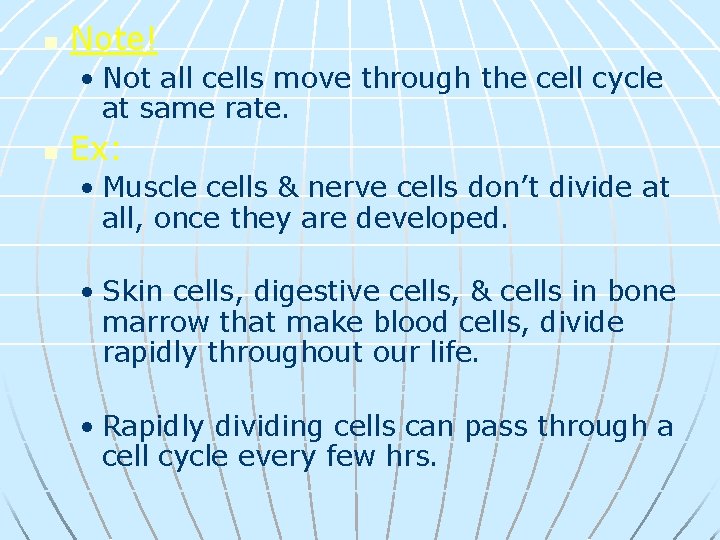 n Note! • Not all cells move through the cell cycle at same rate.