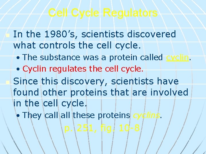 Cell Cycle Regulators n In the 1980’s, scientists discovered what controls the cell cycle.