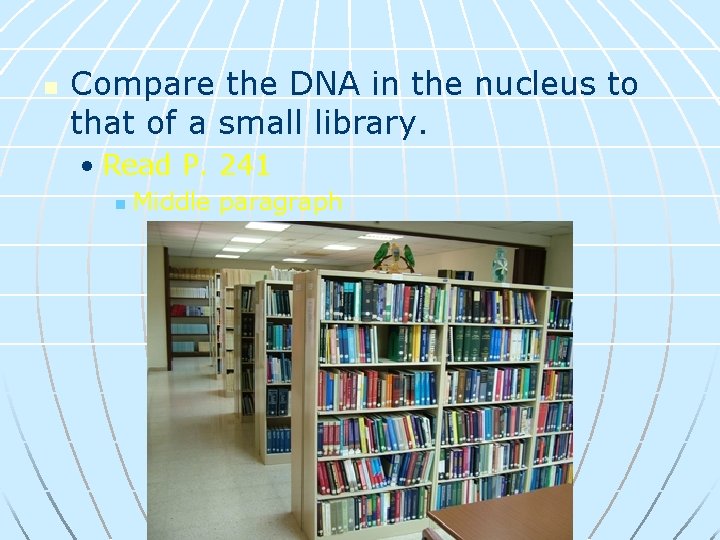 n Compare the DNA in the nucleus to that of a small library. •