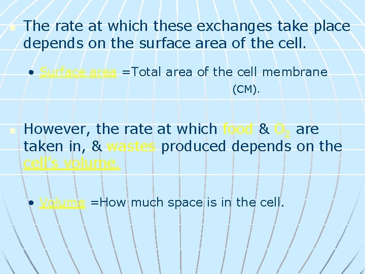 n The rate at which these exchanges take place depends on the surface area