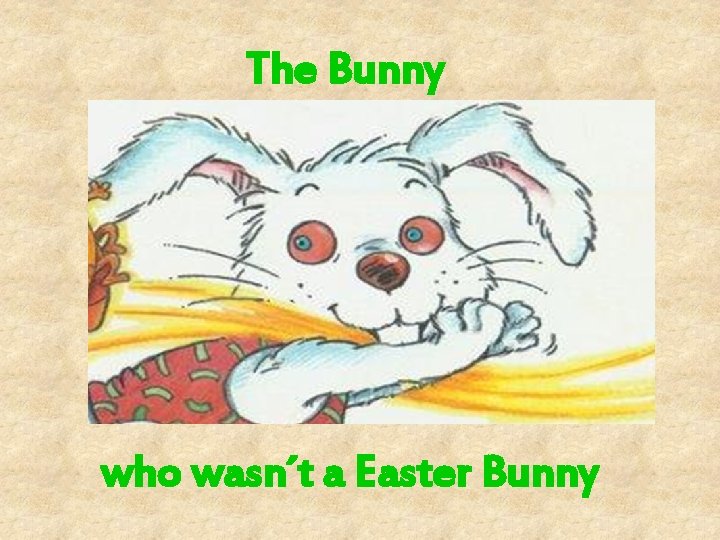 The Bunny who wasn´t a Easter Bunny 