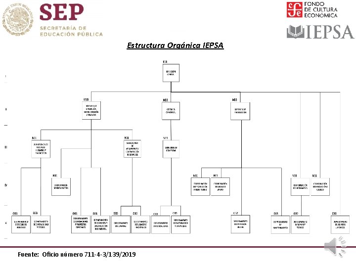Estructura Orgánica IEPSA Fuente: Oficio número 711 -4 -3/139/2019 