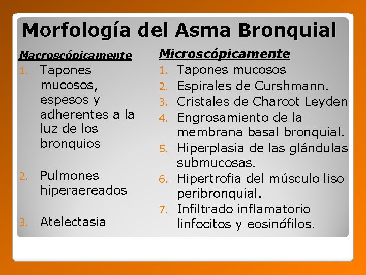 Morfología del Asma Bronquial Macroscópicamente 1. Tapones mucosos, espesos y adherentes a la luz