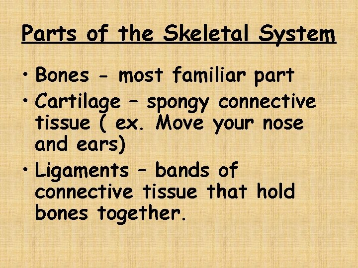 Parts of the Skeletal System • Bones - most familiar part • Cartilage –