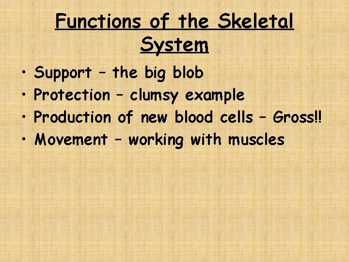 Functions of the Skeletal System • • Support – the big blob Protection –