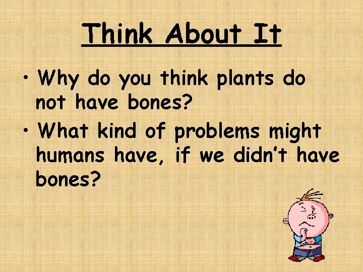 Think About It • Why do you think plants do not have bones? •