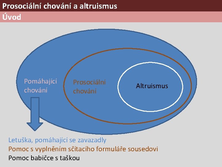 Prosociální chování a altruismus Úvod Pomáhající chování Prosociální chování Altruismus Letuška, pomáhající se zavazadly