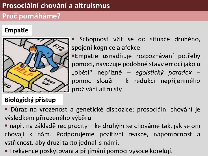 Prosociální chování a altruismus Proč pomáháme? Empatie § Schopnost vžít se do situace druhého,