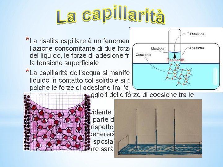 *La risalita capillare è un fenomeno che si manifesta per l’azione concomitante di due *La risalita capillare è un fenomeno che si manifesta per l’azione concomitante di due
