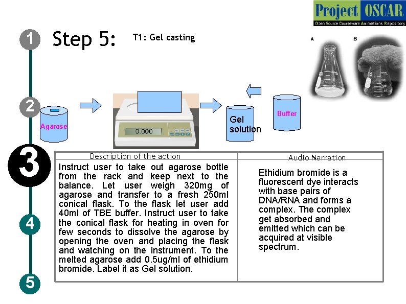 Step 5: 1 T 1: Gel casting 2 Gel solution Agarose 3 4 5