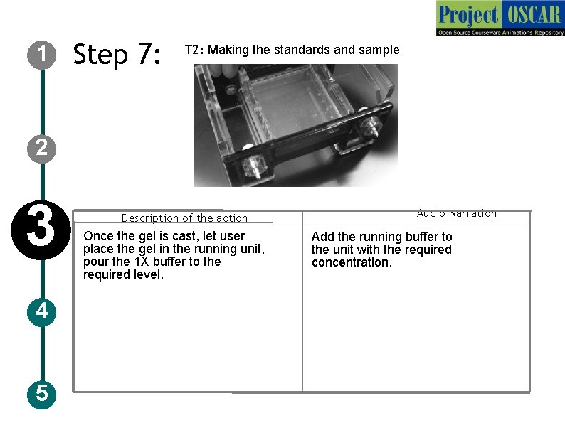1 Step 7: T 2: Making the standards and sample 2 3 4 5
