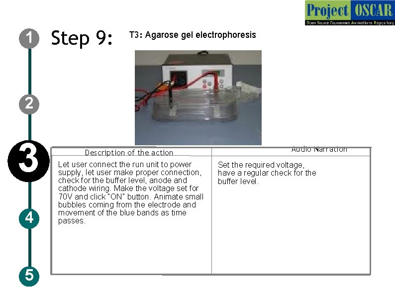 1 Step 9: T 3: Agarose gel electrophoresis 2 3 4 5 Description of