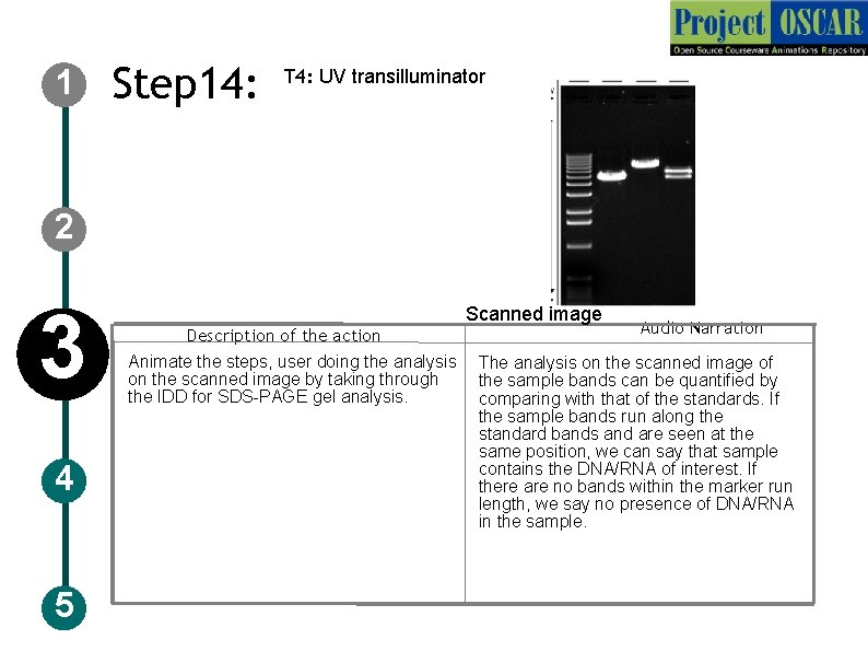 1 Step 14: T 4: UV transilluminator 2 3 4 5 Description of the