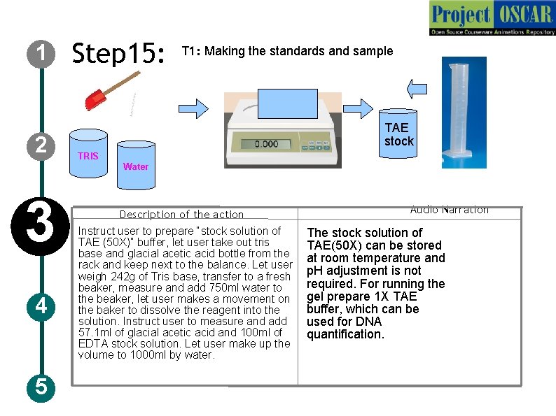 1 2 Step 15: T 1: Making the standards and sample TAE stock TRIS