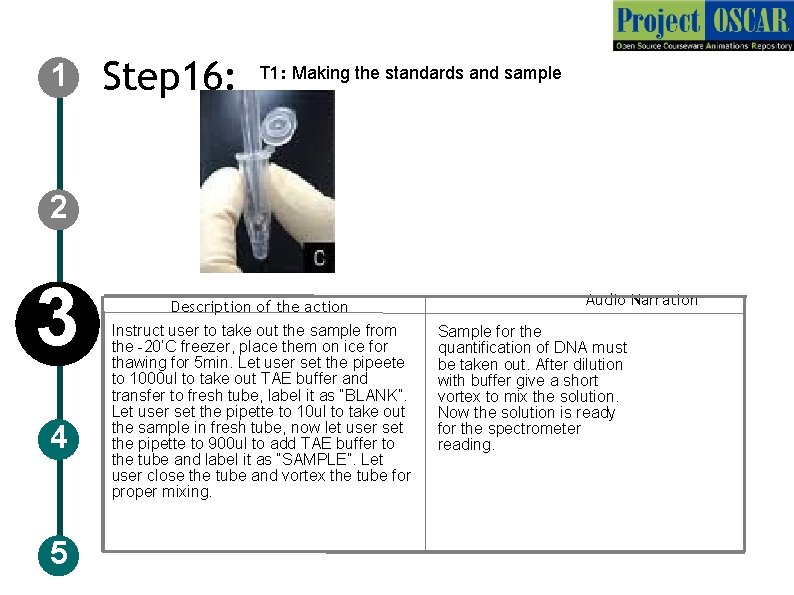 1 Step 16: T 1: Making the standards and sample 2 3 4 5