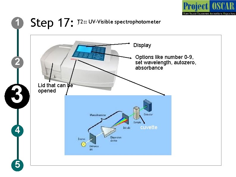 1 ) UV-Visible spectrophotometer Step 17: T 2: : Display Options like number 0