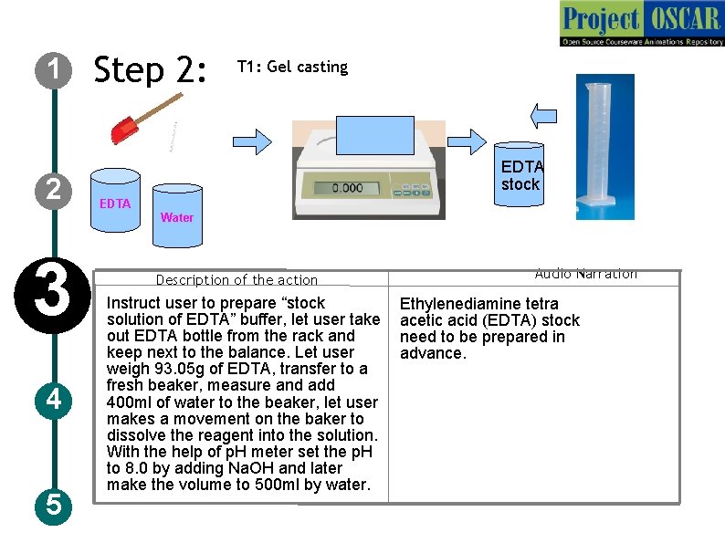 1 2 Step 2: T 1: Gel casting EDTA stock EDTA Water 3 4