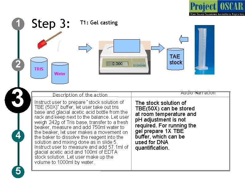 1 2 Step 3: T 1: Gel casting TAE stock TRIS Water 3 4