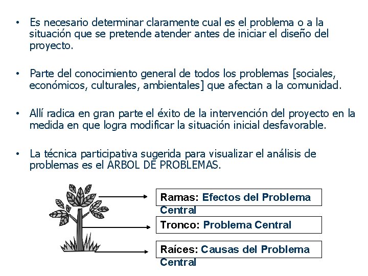  • Es necesario determinar claramente cual es el problema o a la situación