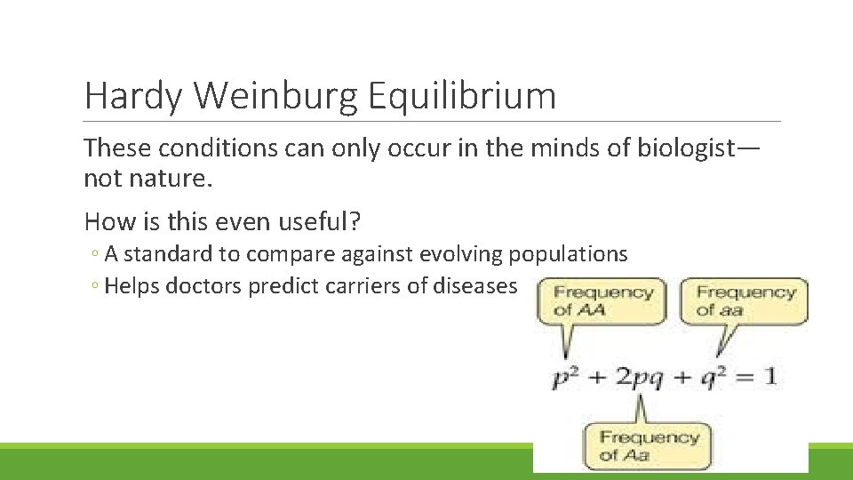 Hardy Weinburg Equilibrium These conditions can only occur in the minds of biologist— not Hardy Weinburg Equilibrium These conditions can only occur in the minds of biologist— not